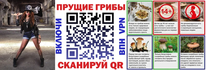 Псилоцибиновые грибы Psilocybe  Никольское 